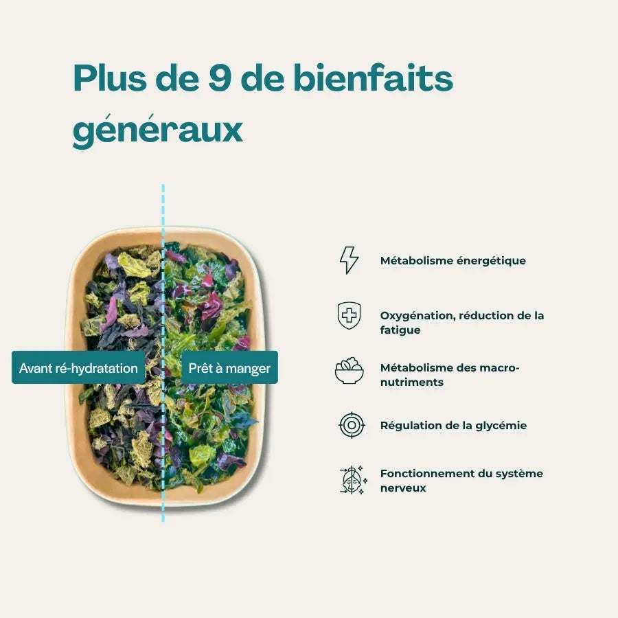 Snacks "Énergie et productivité"